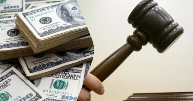 Сокола продали за $346 тисяч: чому за цього птаха так дорого заплатили