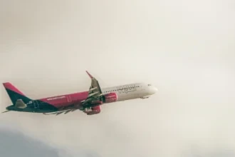 Ryanair запустив швидкий розпродаж рейсів до Німеччини від €19
